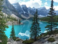 世俱杯参赛资格-烈日焚鹈鹕，凤凰城鏖战新奥尔良，抢七战冰与火的淬炼