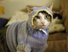 世俱杯赛程-双面利拉德，爆裂得分与冷血绝杀，雷霆一击定乾坤