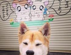 世俱杯分组-福克斯关键回合不手软，快船逆转尼克斯，一战定乾坤