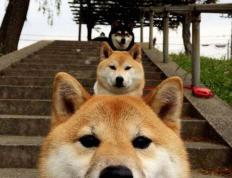 世俱杯直播-今夜，星光属于谁？