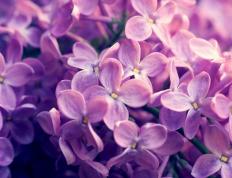 世俱杯赛程-王权没有黄昏，乔治封神夜，骑士摧垮国王的最后幻想