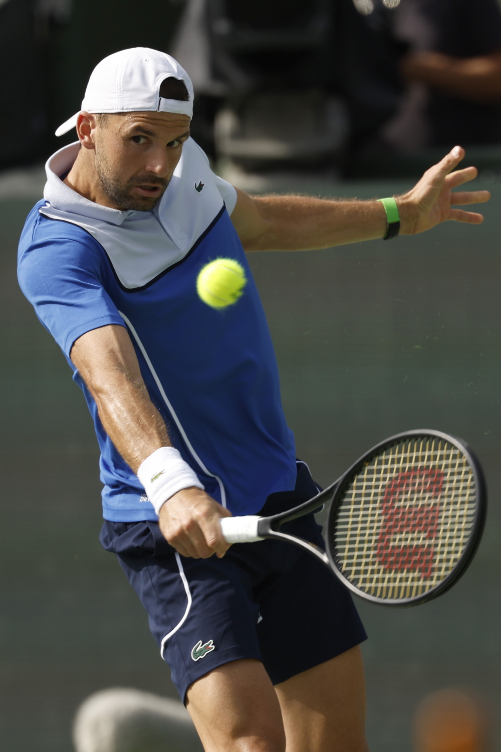 世俱杯2025-年终总决赛翻盘法网，梅德韦杰夫高光表现