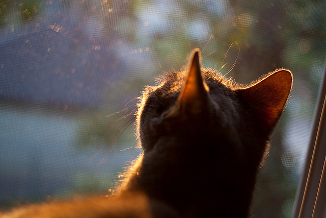 世俱杯分组-撕裂之城的天王山，勇士与开拓者的宿命对决