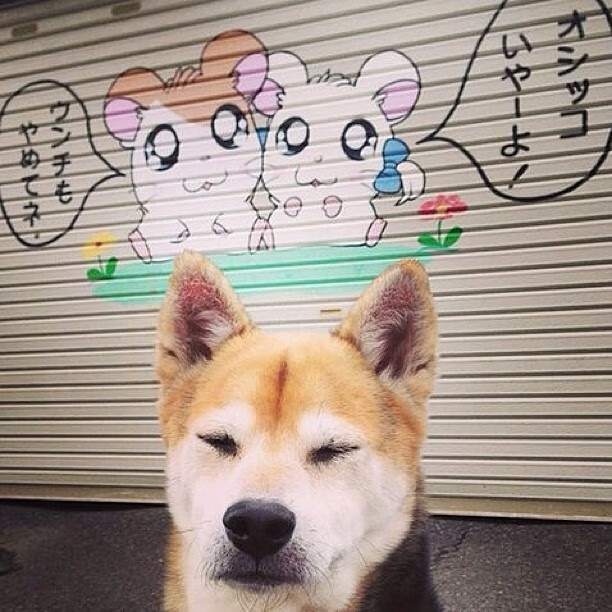 世俱杯分组-福克斯关键回合不手软,快船逆转尼克斯,一战定乾坤