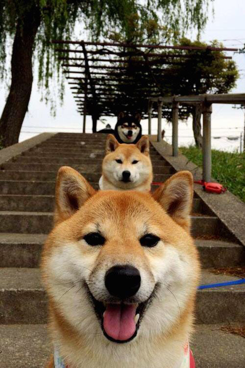 世俱杯直播-今夜,星光属于谁?