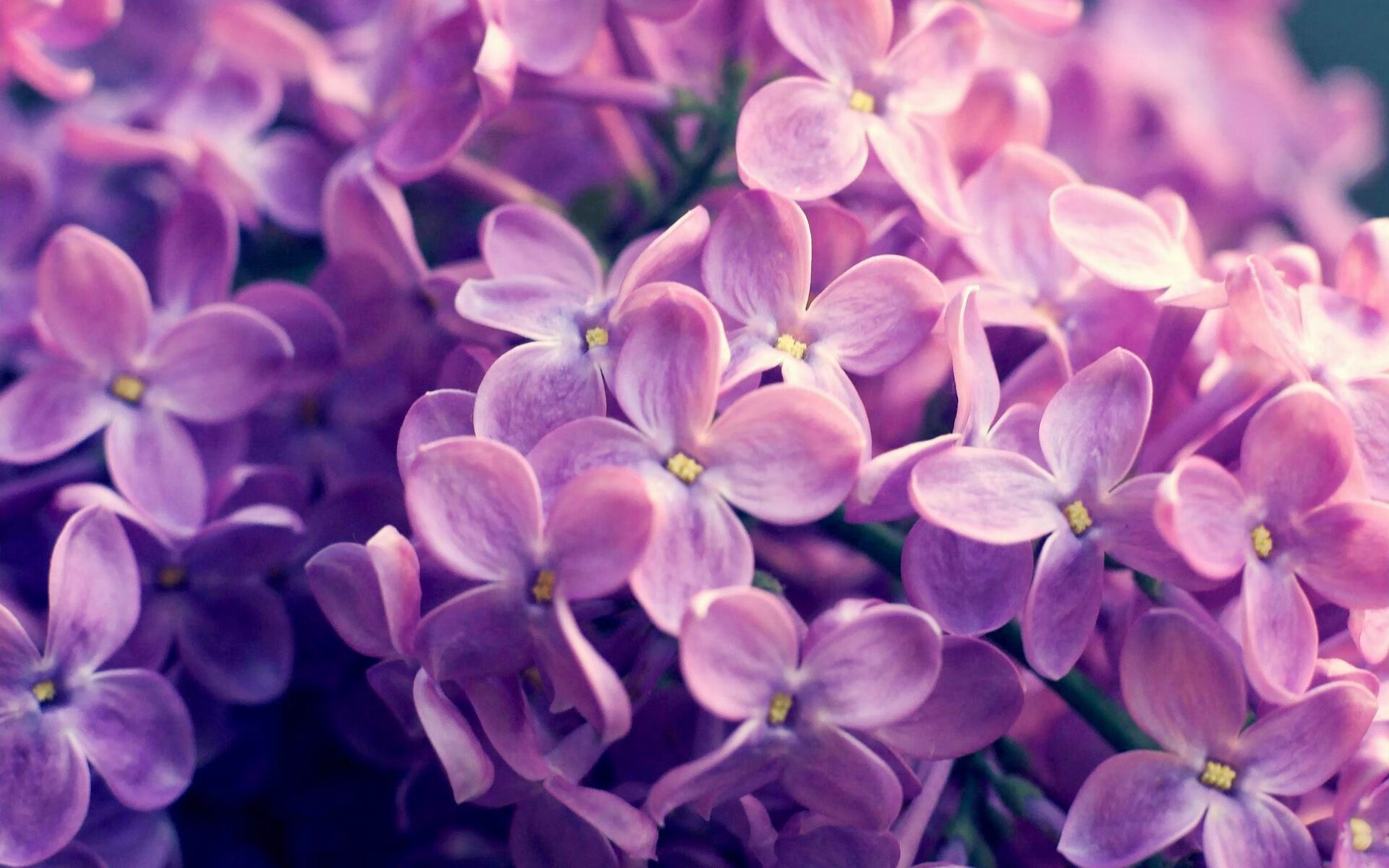 世俱杯赛程-王权没有黄昏，乔治封神夜，骑士摧垮国王的最后幻想