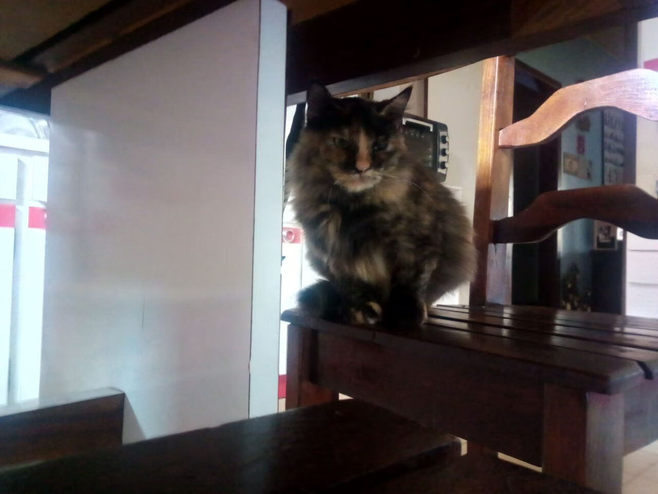 世俱杯直播-鹈鹕展翅破王权,詹姆斯主宰天王山