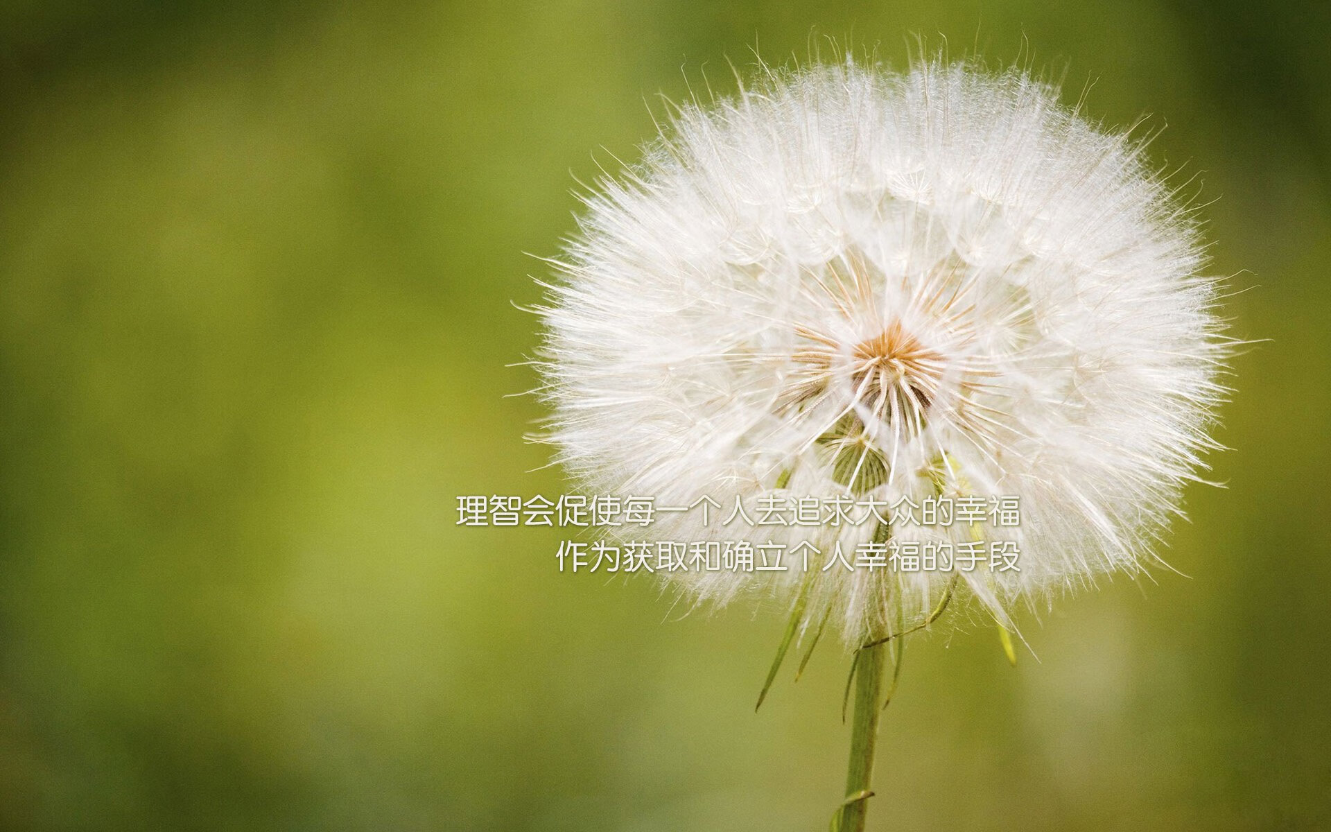 世俱杯改制-末节风暴，辽宁逆转步行者，字母哥致命一击定乾坤