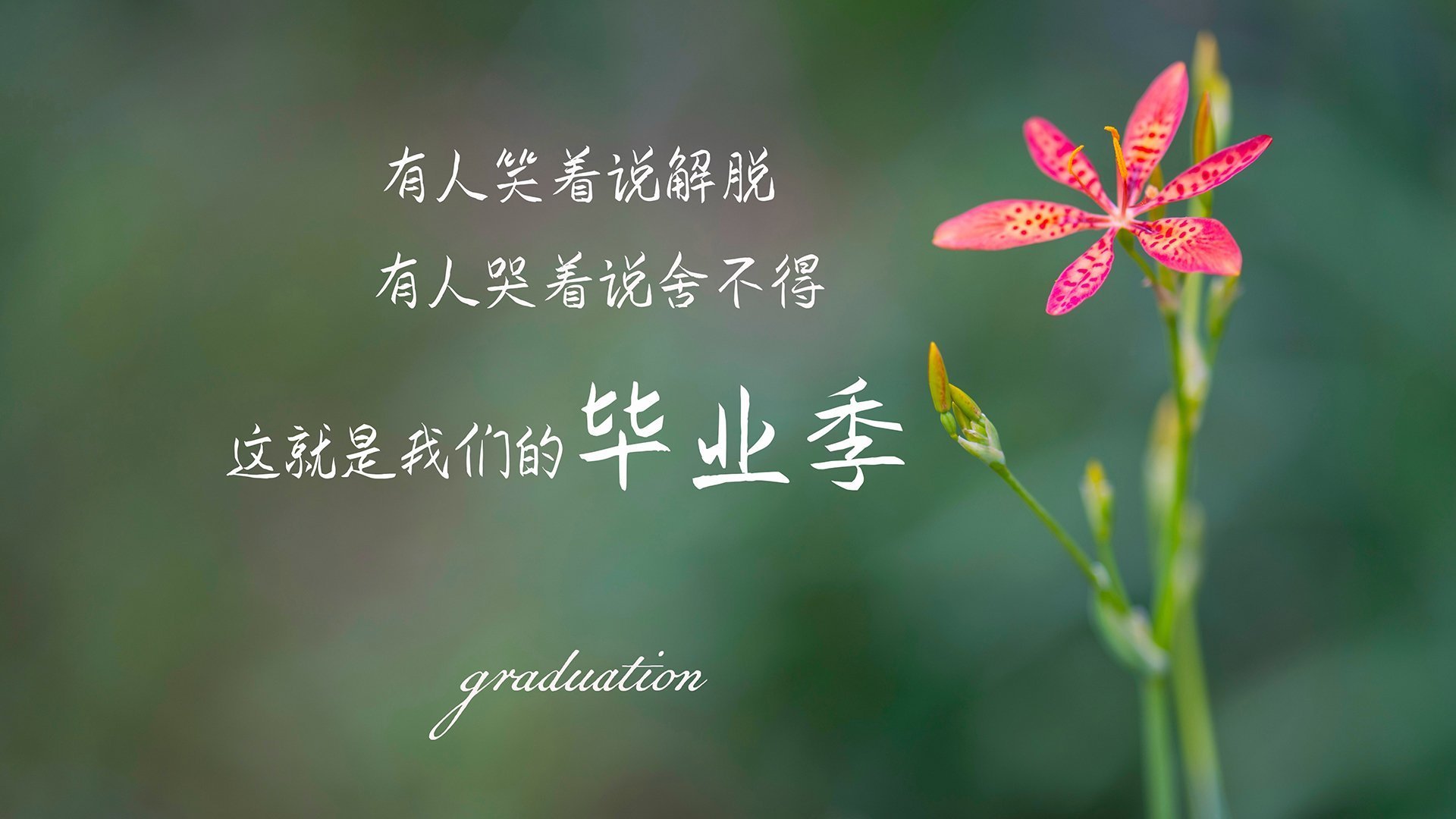 世俱杯-他让决赛成为凌晨四点的默片，文班亚马，今夜与历史提前撞线